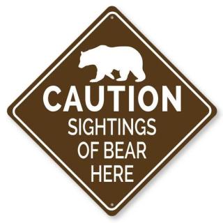 bear sighting