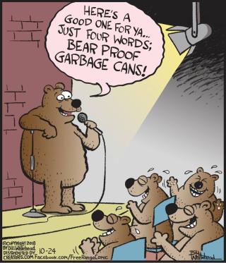 bear proof