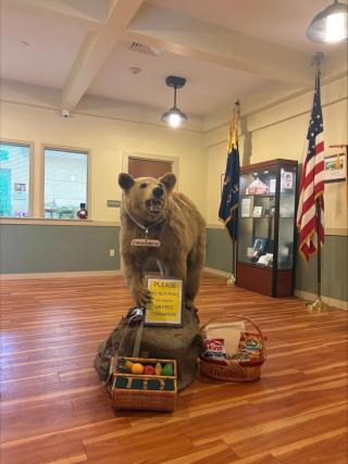 Cinnamon Bear