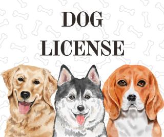 dogs
