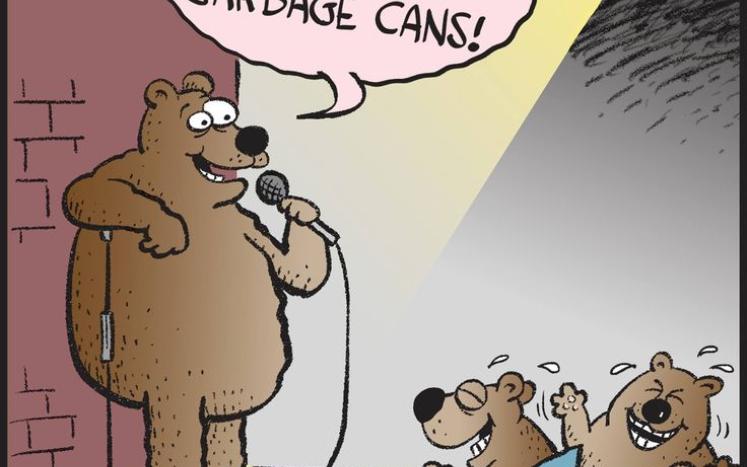 bear proof
