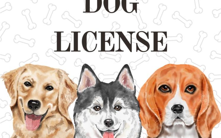 dogs