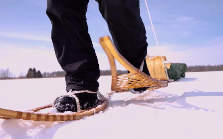 snowshoe